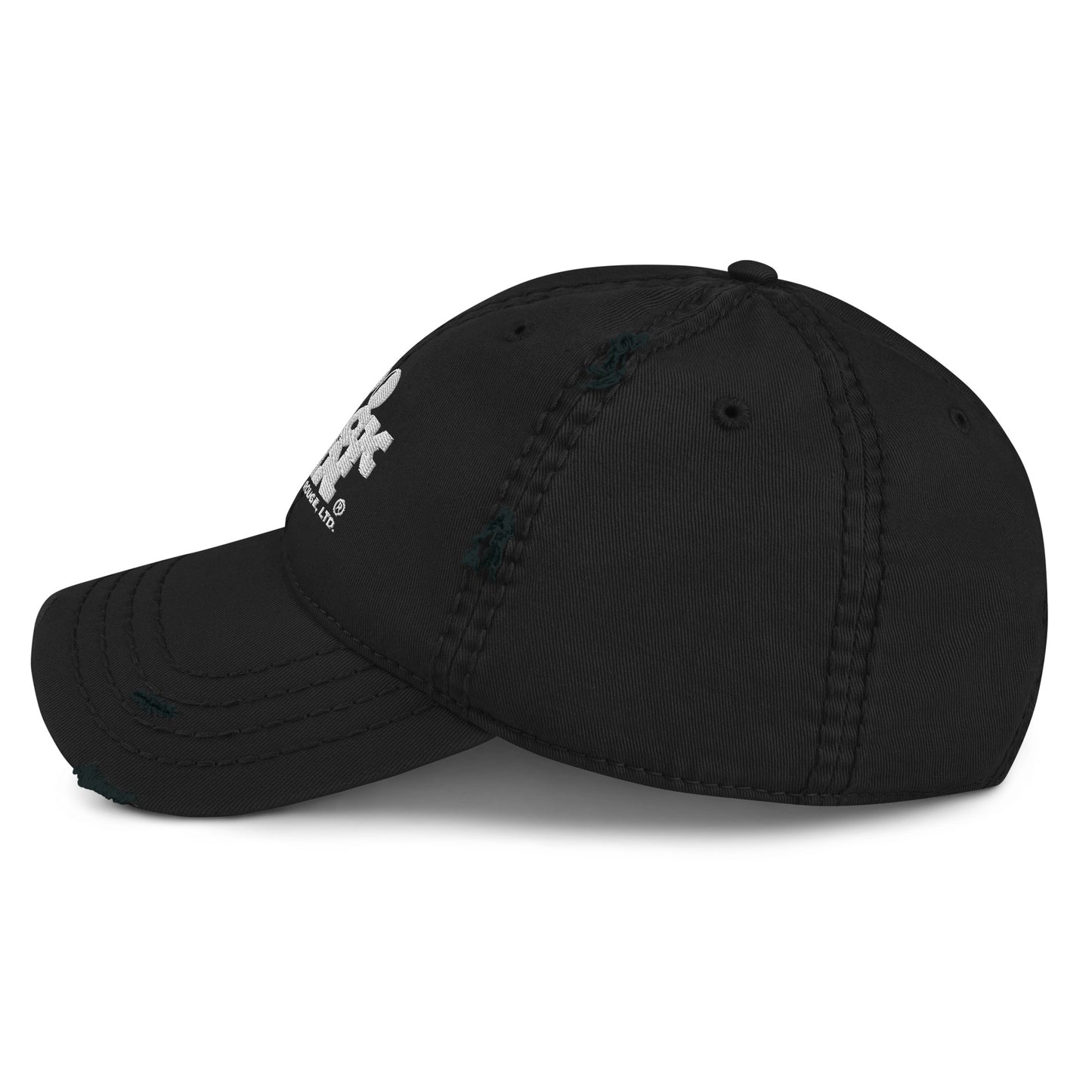 100 BLACK MEN BR Distressed Dad Hat