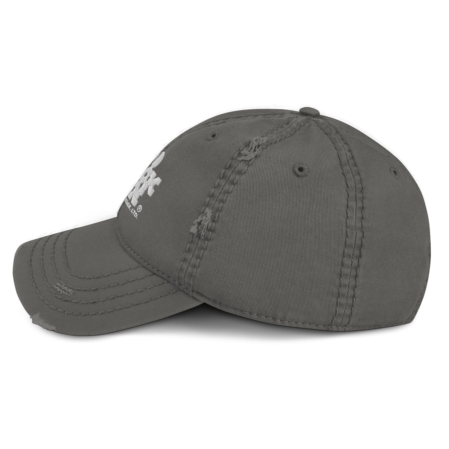 100 BLACK MEN BR Distressed Dad Hat