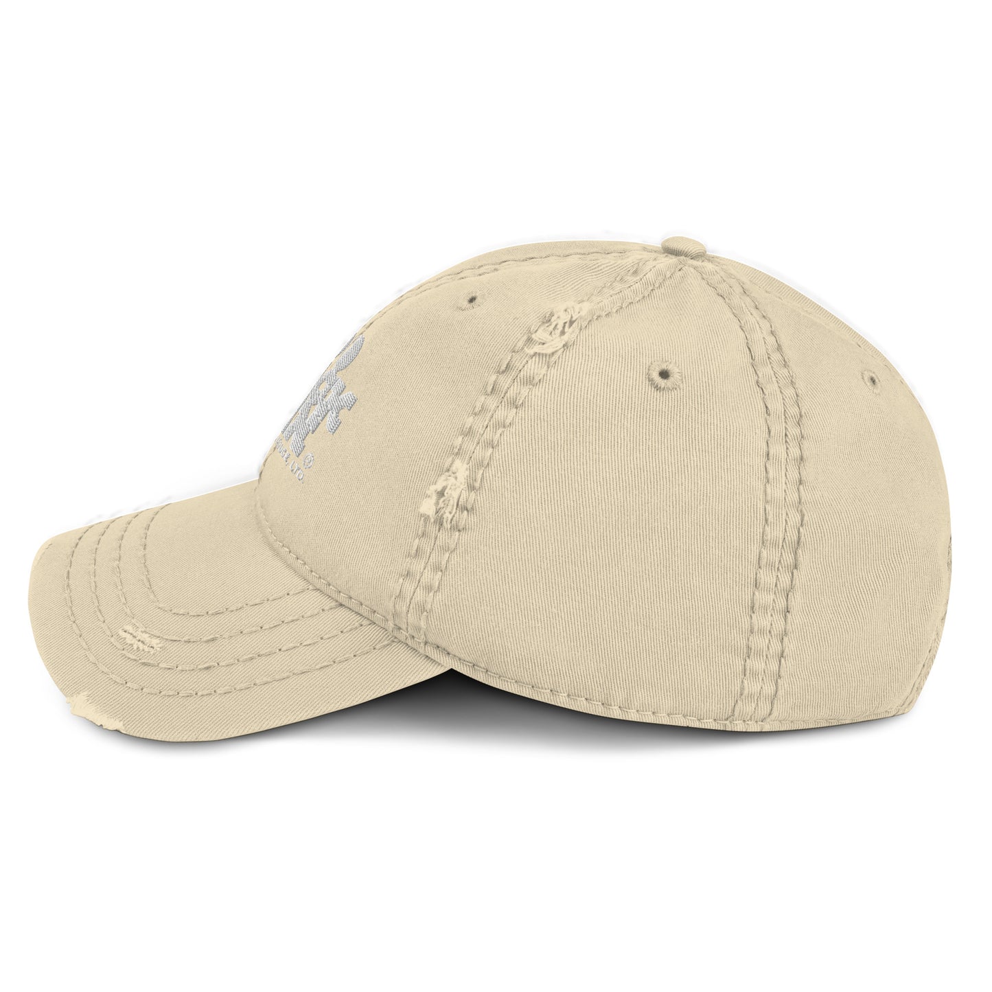 100 BLACK MEN BR Distressed Dad Hat