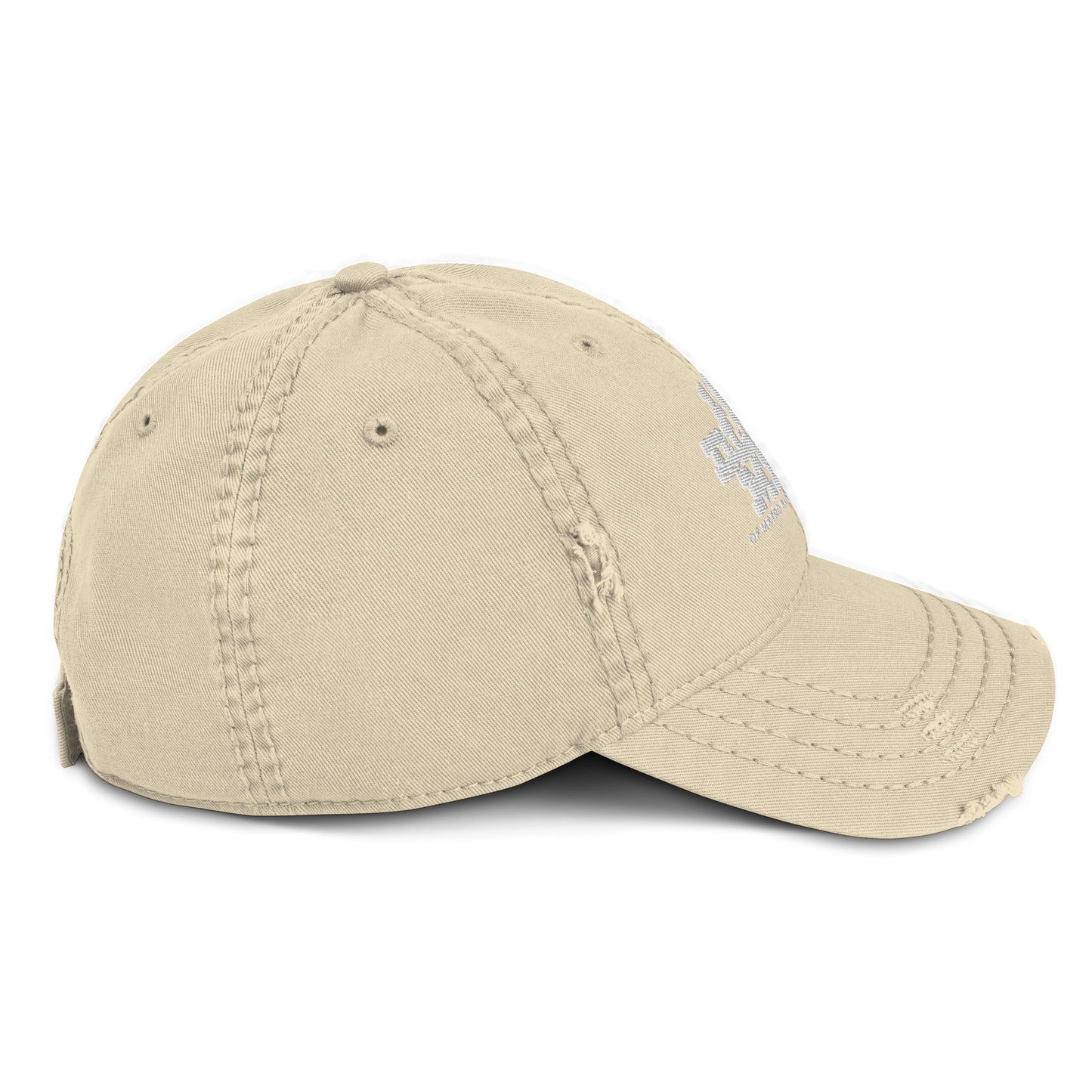 100 BLACK MEN BR Distressed Dad Hat