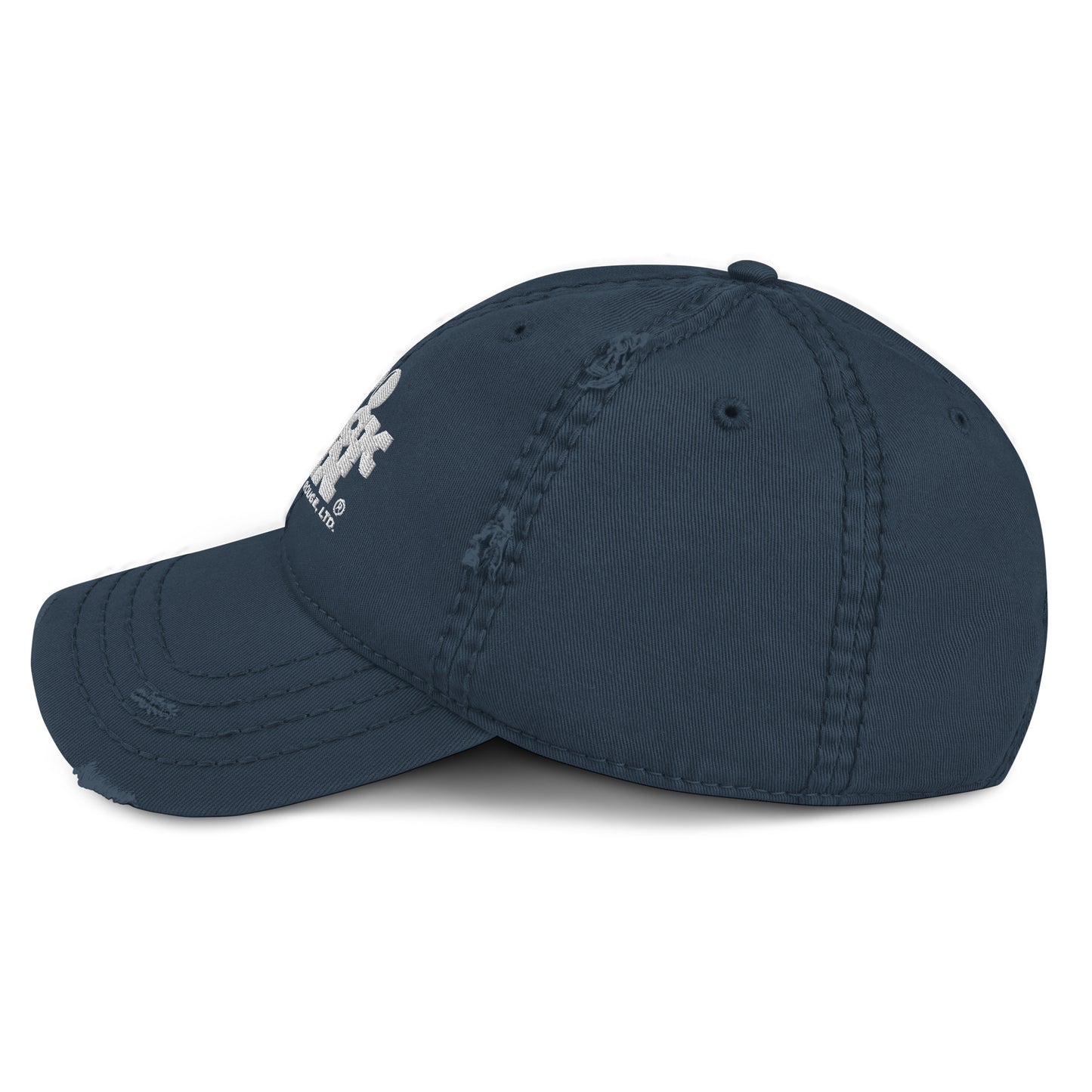 100 BLACK MEN BR Distressed Dad Hat